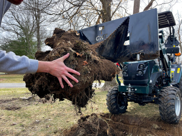 Stump Bucket for Tractors, with Stump and hand for scale