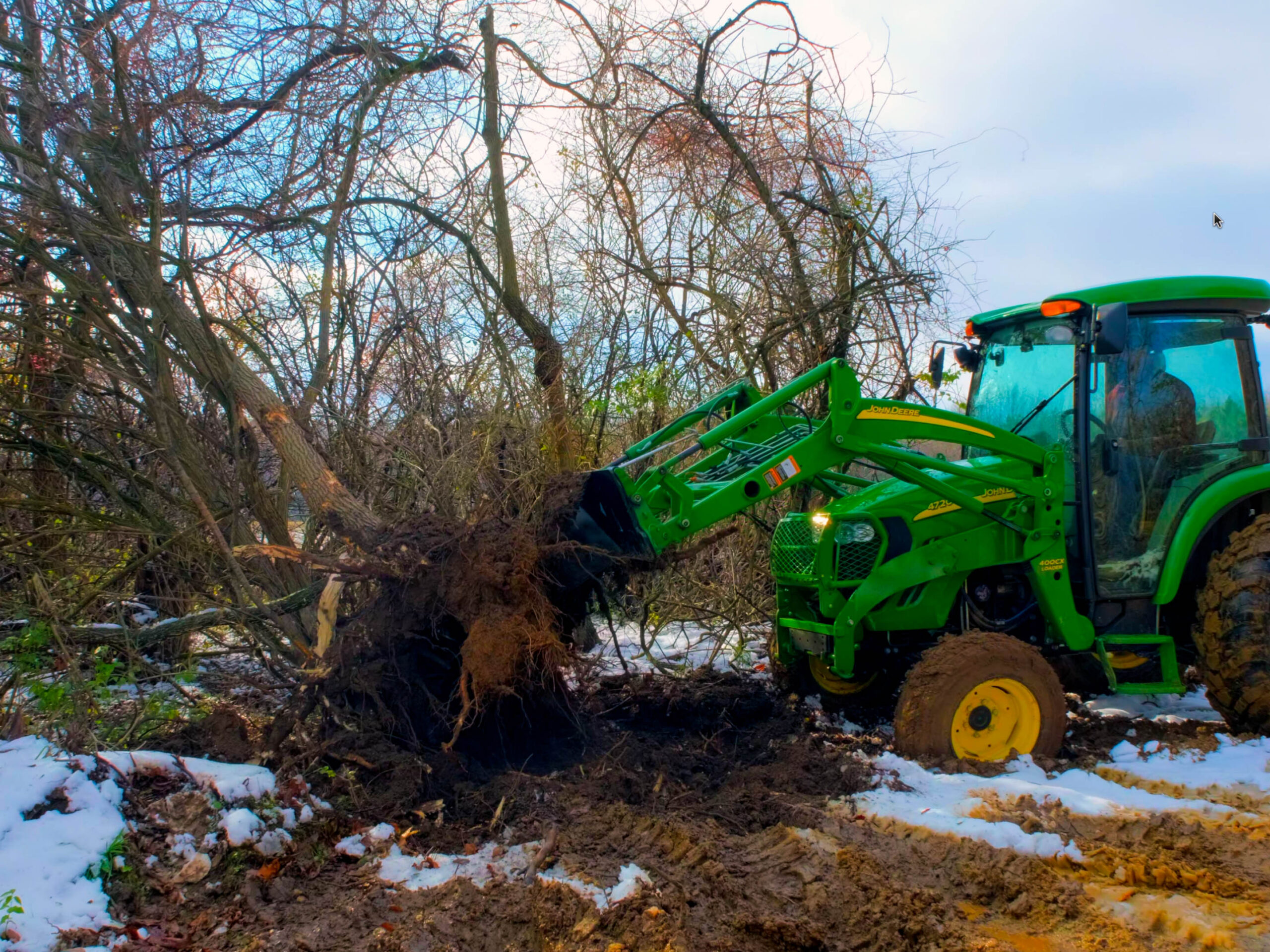 Tractor lifting up tree and roots with stump bucket