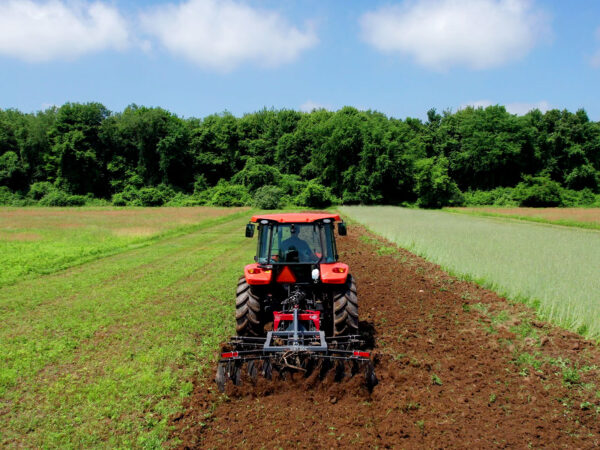 Dirt Dog 3-Point Disc Harrow on Kubota