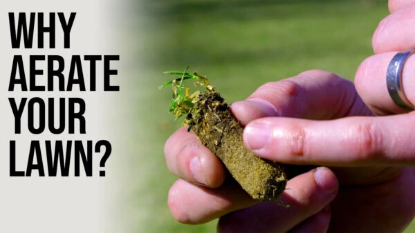 Why Core Plug Aerate Your Lawn?