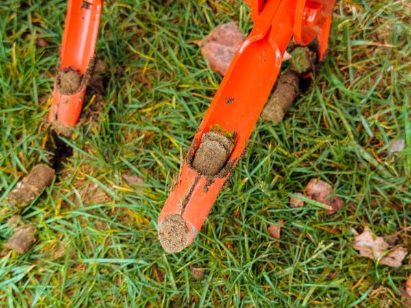 Soil Plug in Spoon of Aerator