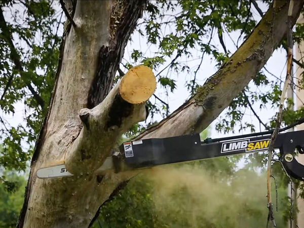 Cutting Branch with HLA Limb Saw