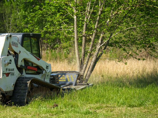 Cutting Down a Tree with Tree Reaper Extreme Duty Brush Cutter