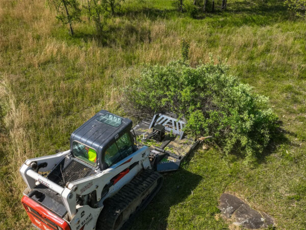 Cutting Down a Tree with Tree Reaper Extreme Duty Brush Cutter 02