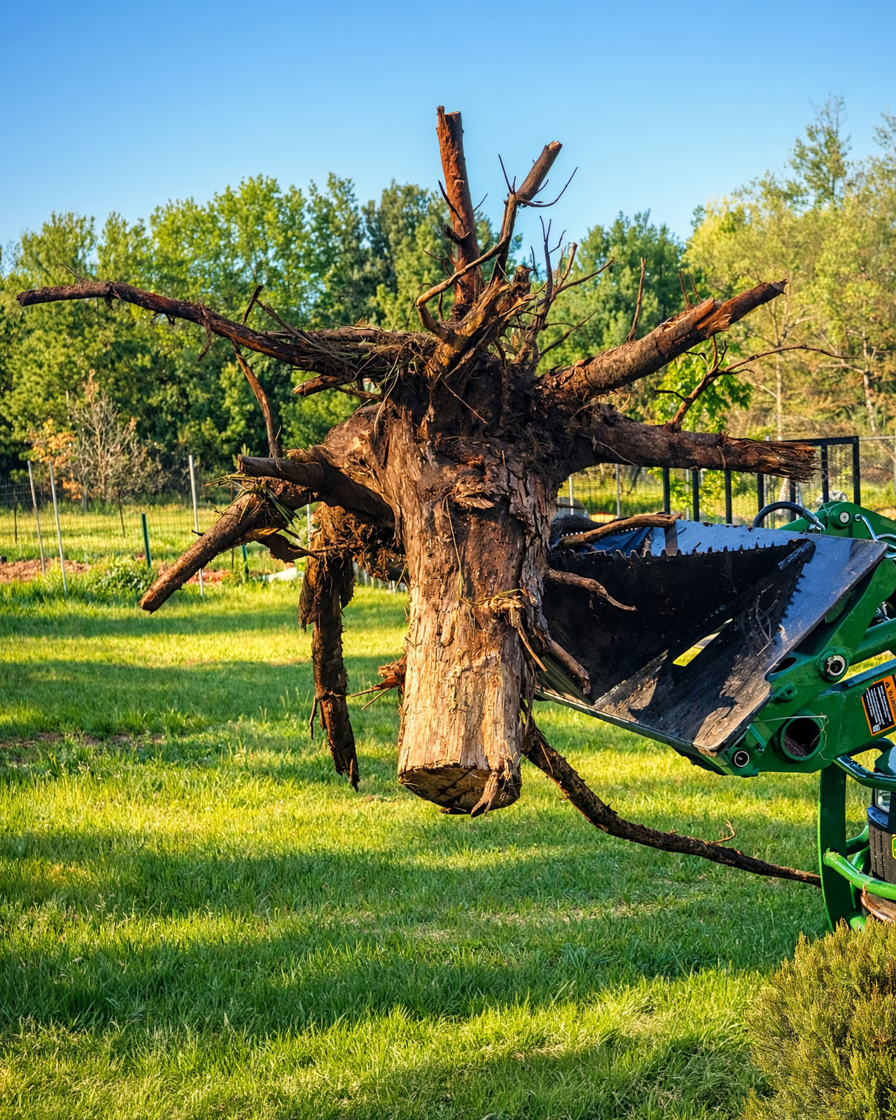 The Mini Wrecker removes an entire shrub, roots and all