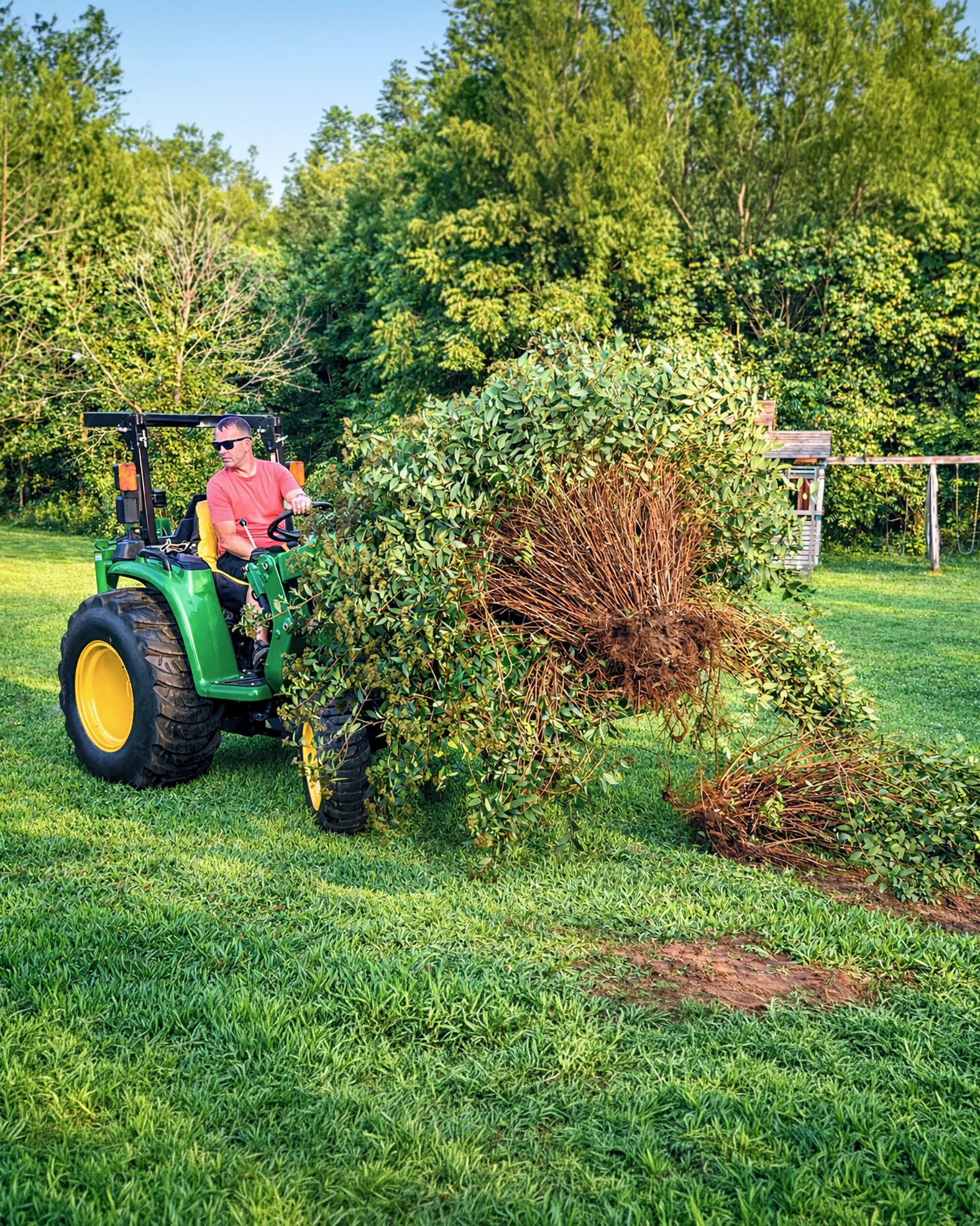 The Mini Wrecker removes an entire shrub, roots and all